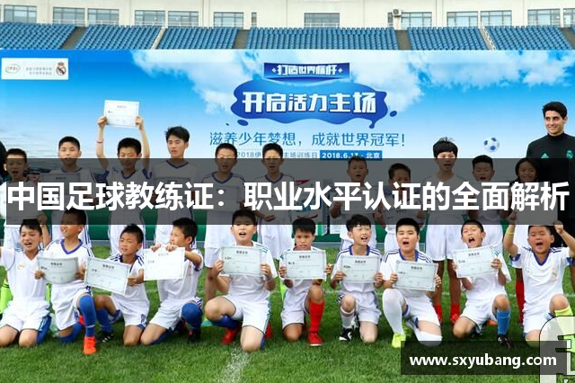 中国足球教练证：职业水平认证的全面解析