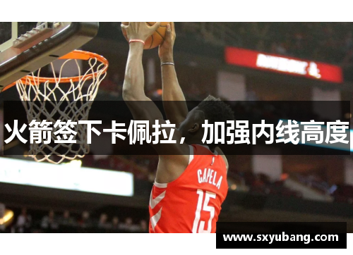 火箭签下卡佩拉，加强内线高度